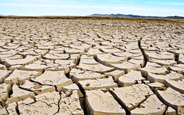 El Nino đang gây nguy cơ suy thoái kinh tế toàn cầu