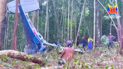 Lí giải về sự sống sót kỳ diệu của bốn đứa trẻ sau 40 ngày bị rơi máy bay trong rừng Amazon