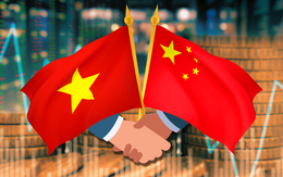 Nhập siêu Trung Quốc vọt lên 60 tỉ USD, thương mại đầu tư Việt - Trung 10 năm qua ra sao?
